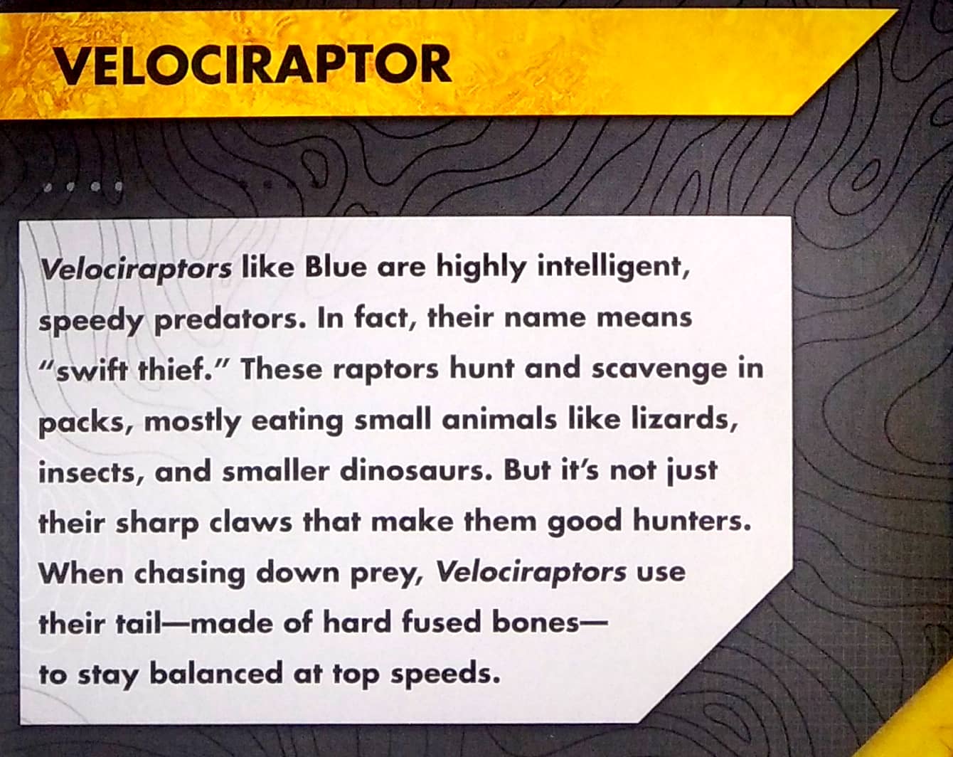 universal jurassic world tattle tales - Ảnh 6