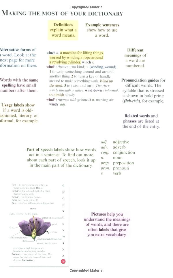 us kingfisher illustrated pocket dictionary - Ảnh 3