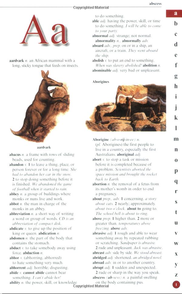 us kingfisher illustrated pocket dictionary - Ảnh 5