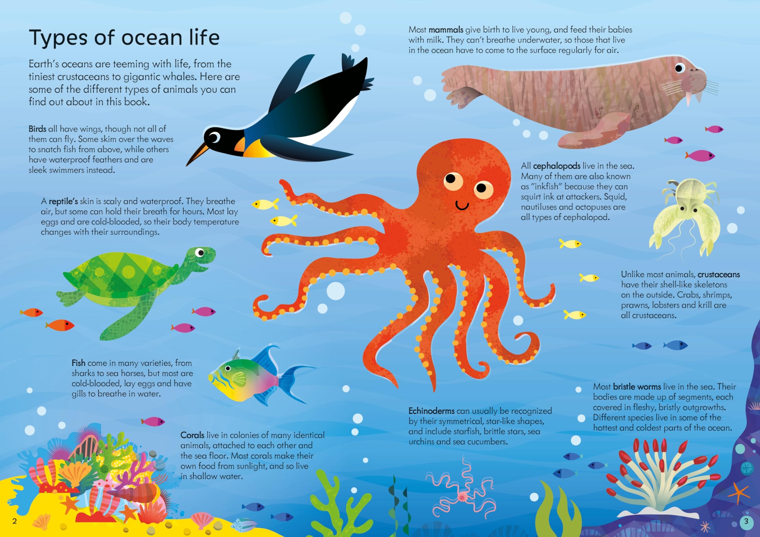 usborne book and jigsaw oceans - Ảnh 9