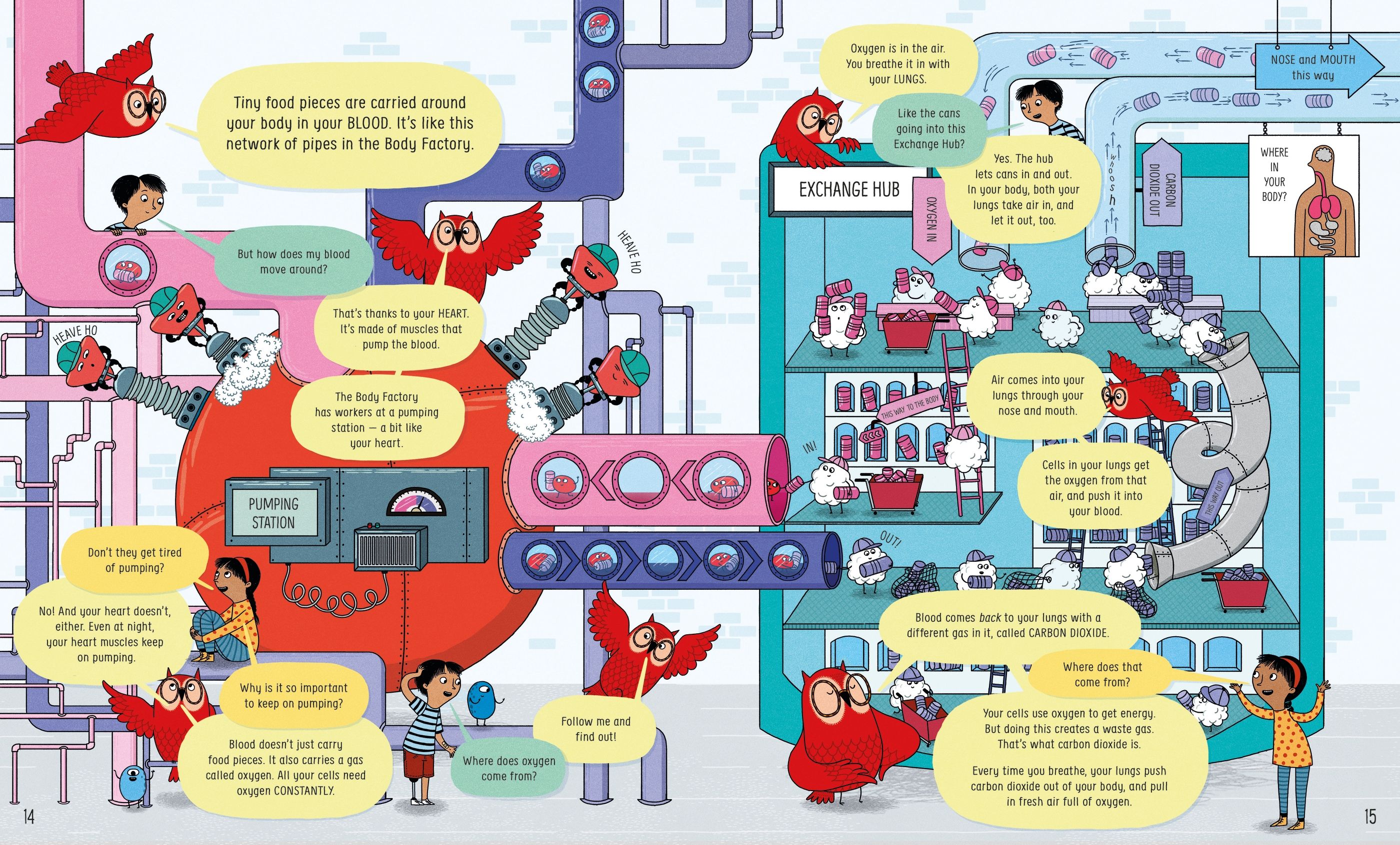 usborne book of the body and how it works - Ảnh 5