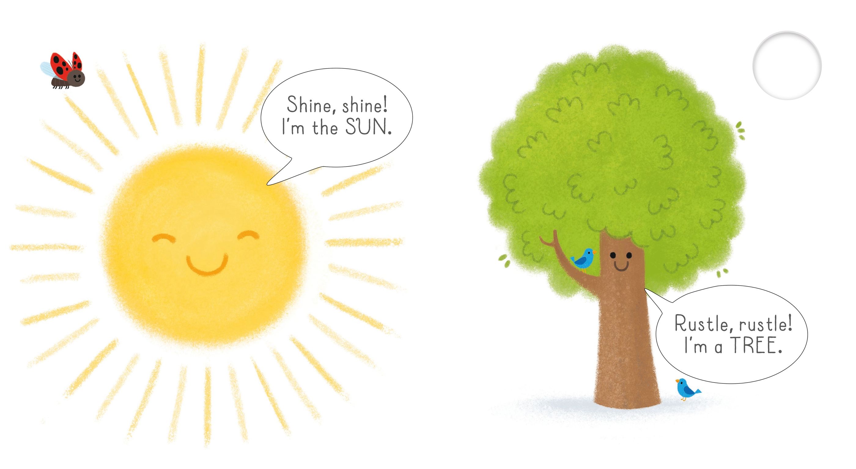 usborne very first words library: garden - Ảnh 5