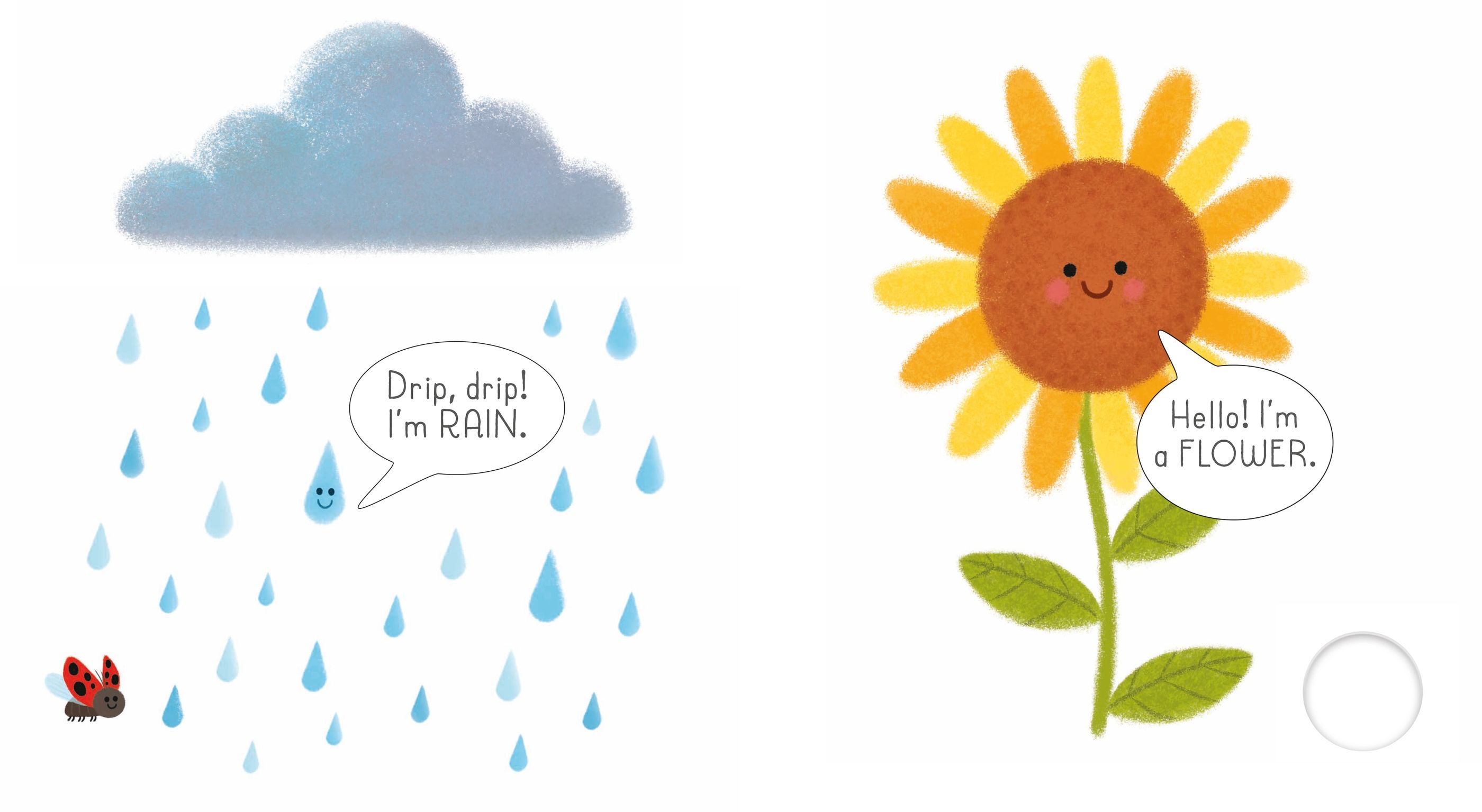 usborne very first words library: garden - Ảnh 6