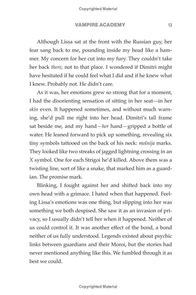 vampire academy - Ảnh 14
