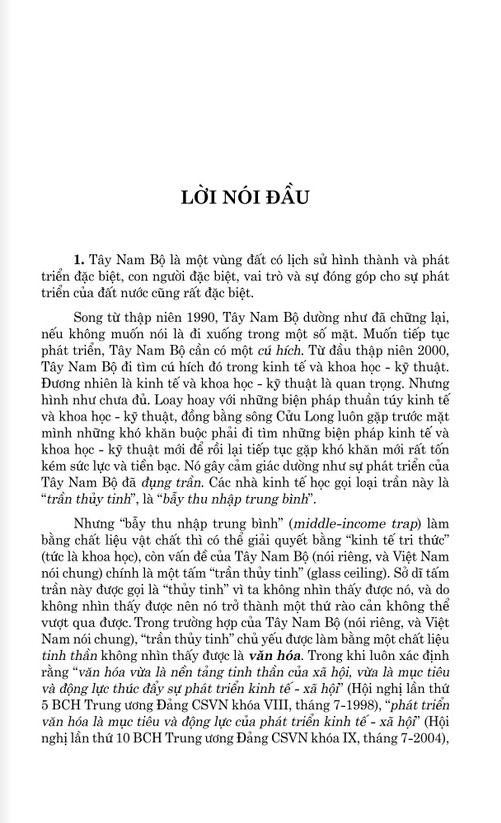văn hóa người việt vùng tây nam bộ (2022) - Ảnh 10
