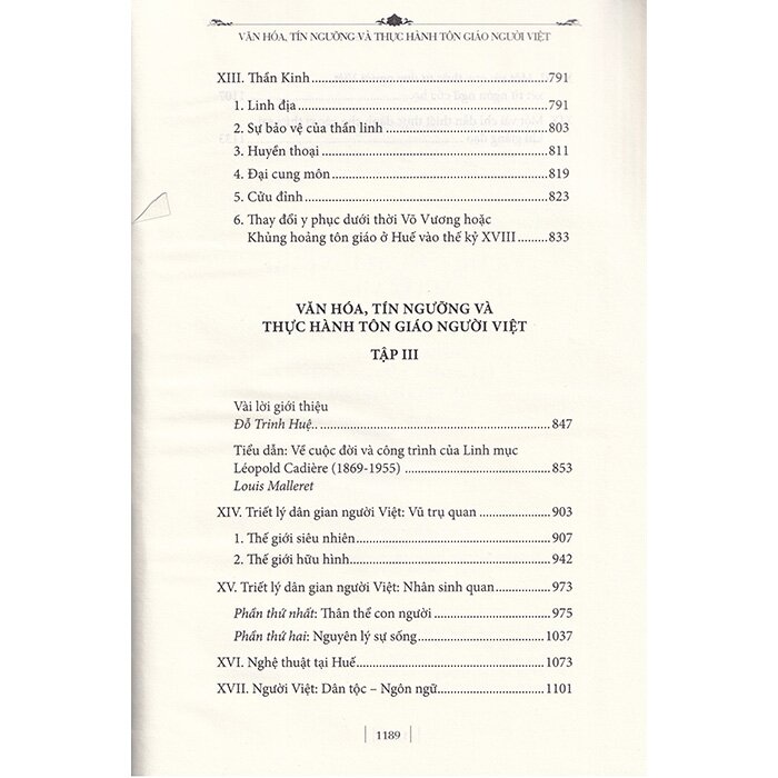 văn hóa, tín ngưỡng và thực hành tôn giáo người việt - Ảnh 4