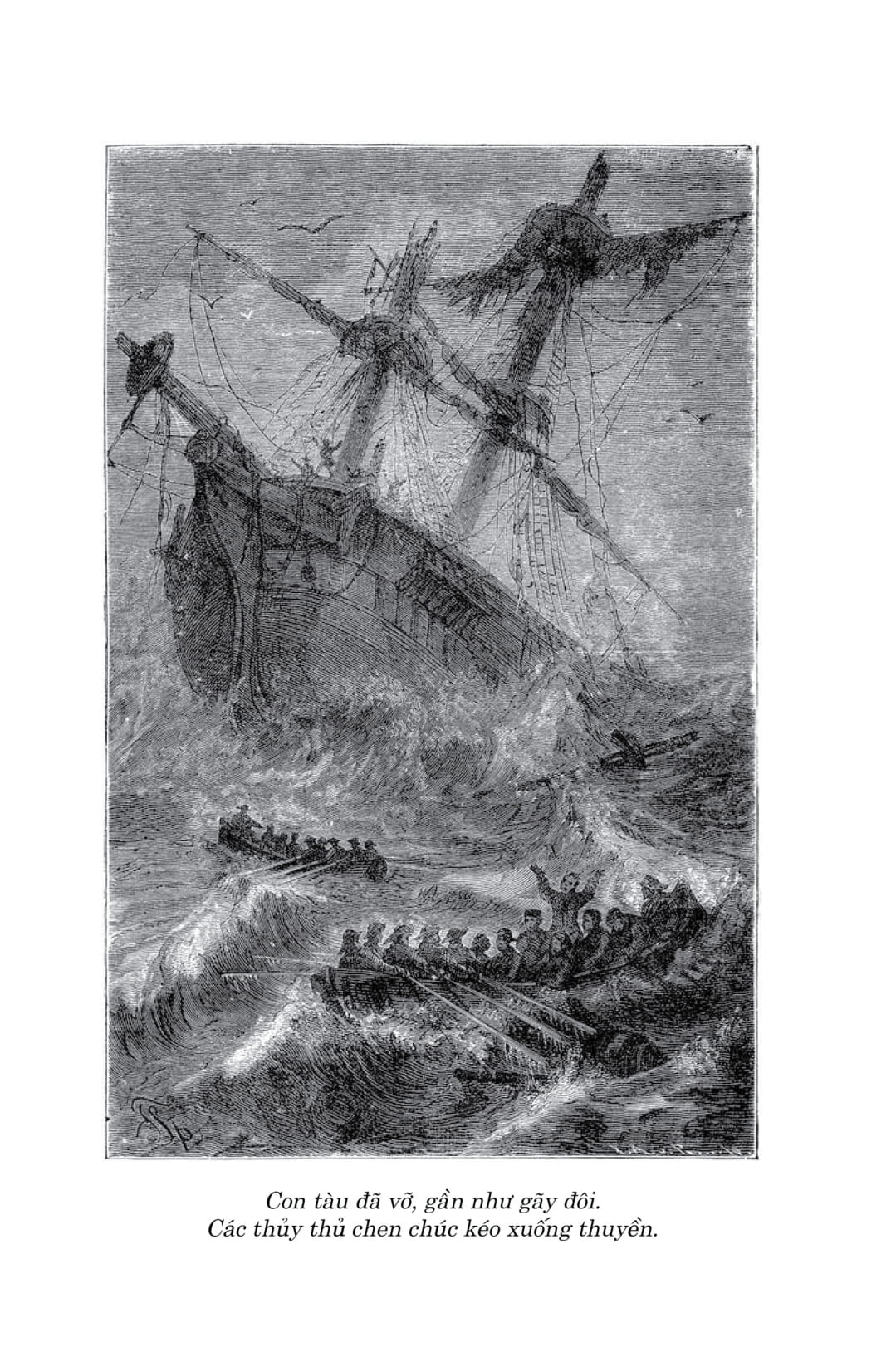 Văn Học Cổ Điển - Đông A Classic - Gia Đình Robinson Thụy Sỹ - Ảnh 10