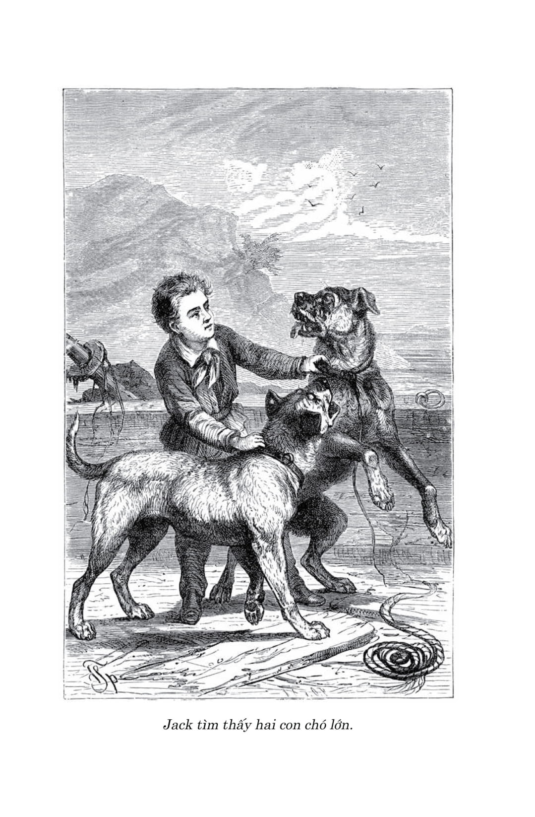 Văn Học Cổ Điển - Đông A Classic - Gia Đình Robinson Thụy Sỹ - Ảnh 14