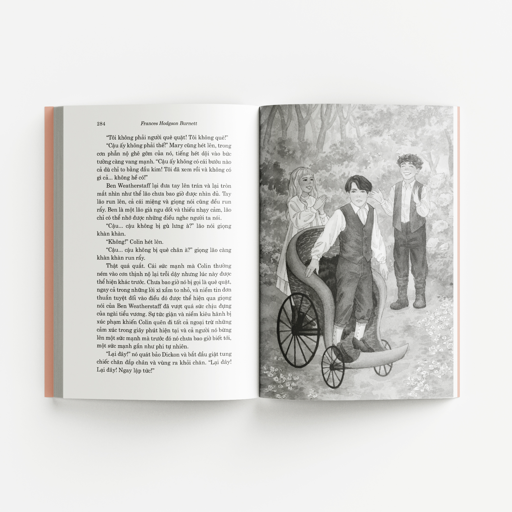 Văn Học Cổ Điển - Đông A Classic - Khu Vườn Bí Mật - Ảnh 5