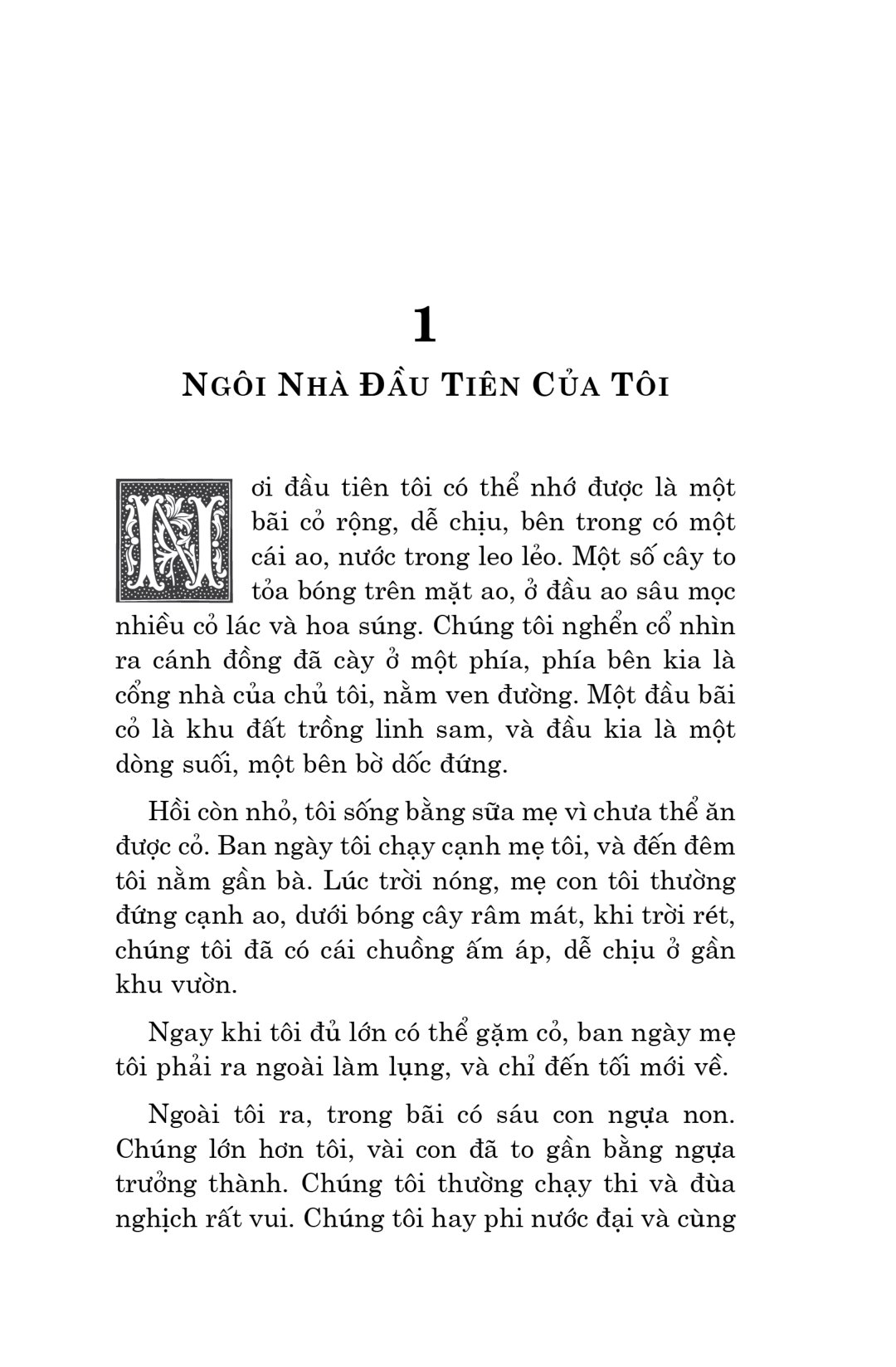 văn học cổ điển - ngựa ô yêu dấu (tái bản 2023) - Ảnh 15