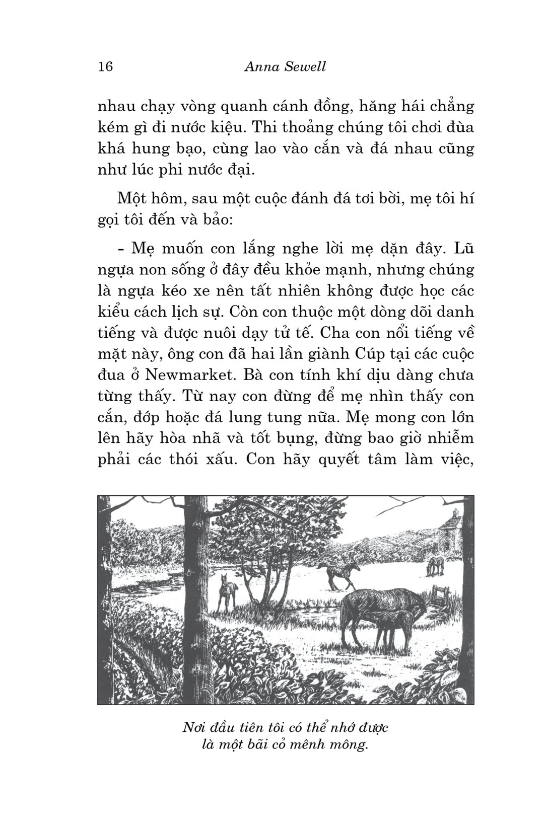 văn học cổ điển - ngựa ô yêu dấu (tái bản 2023) - Ảnh 16