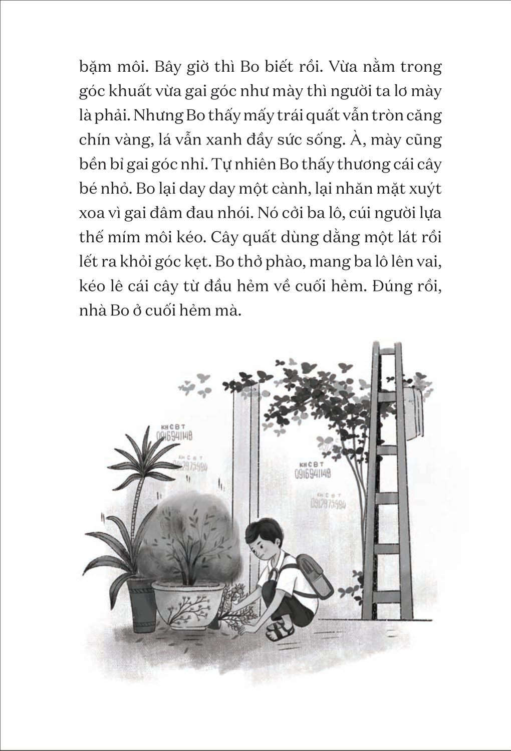 văn học tuổi hoa - cây quất xù gai - Ảnh 5