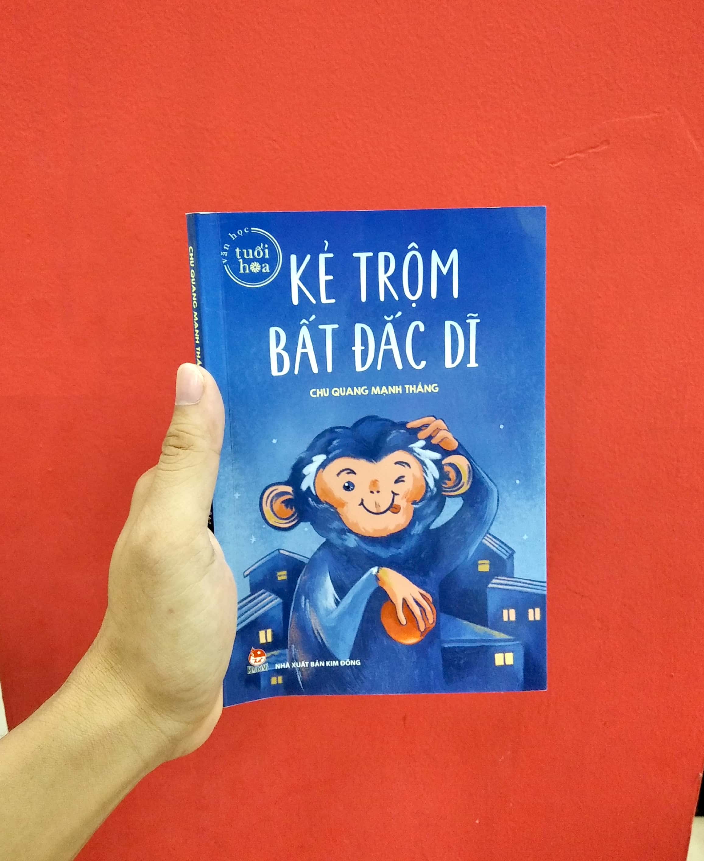 văn học tuổi hoa - kẻ trộm bất đắc dĩ - Ảnh 2