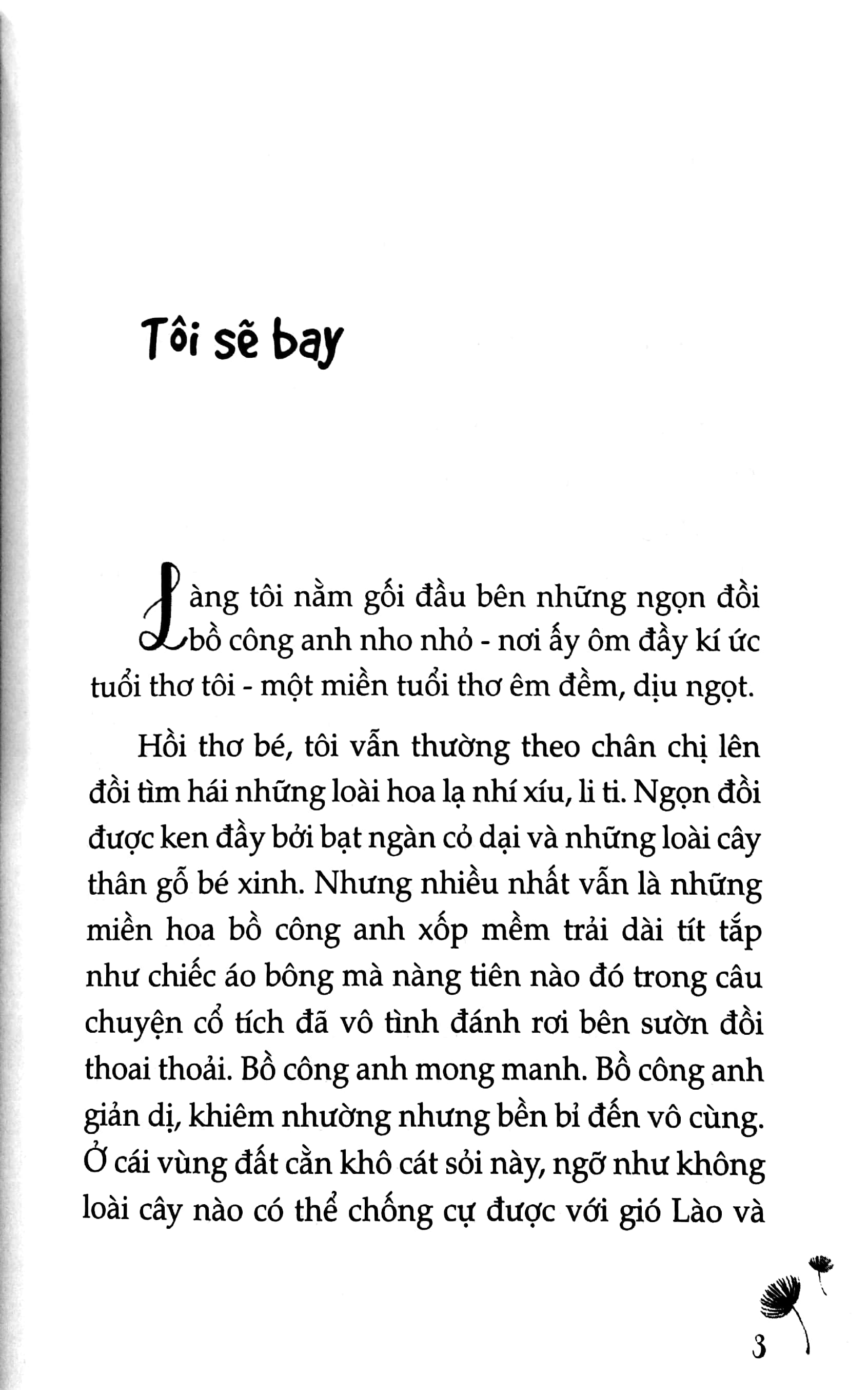 văn học tuổi hoa - tôi sẽ bay - Ảnh 5