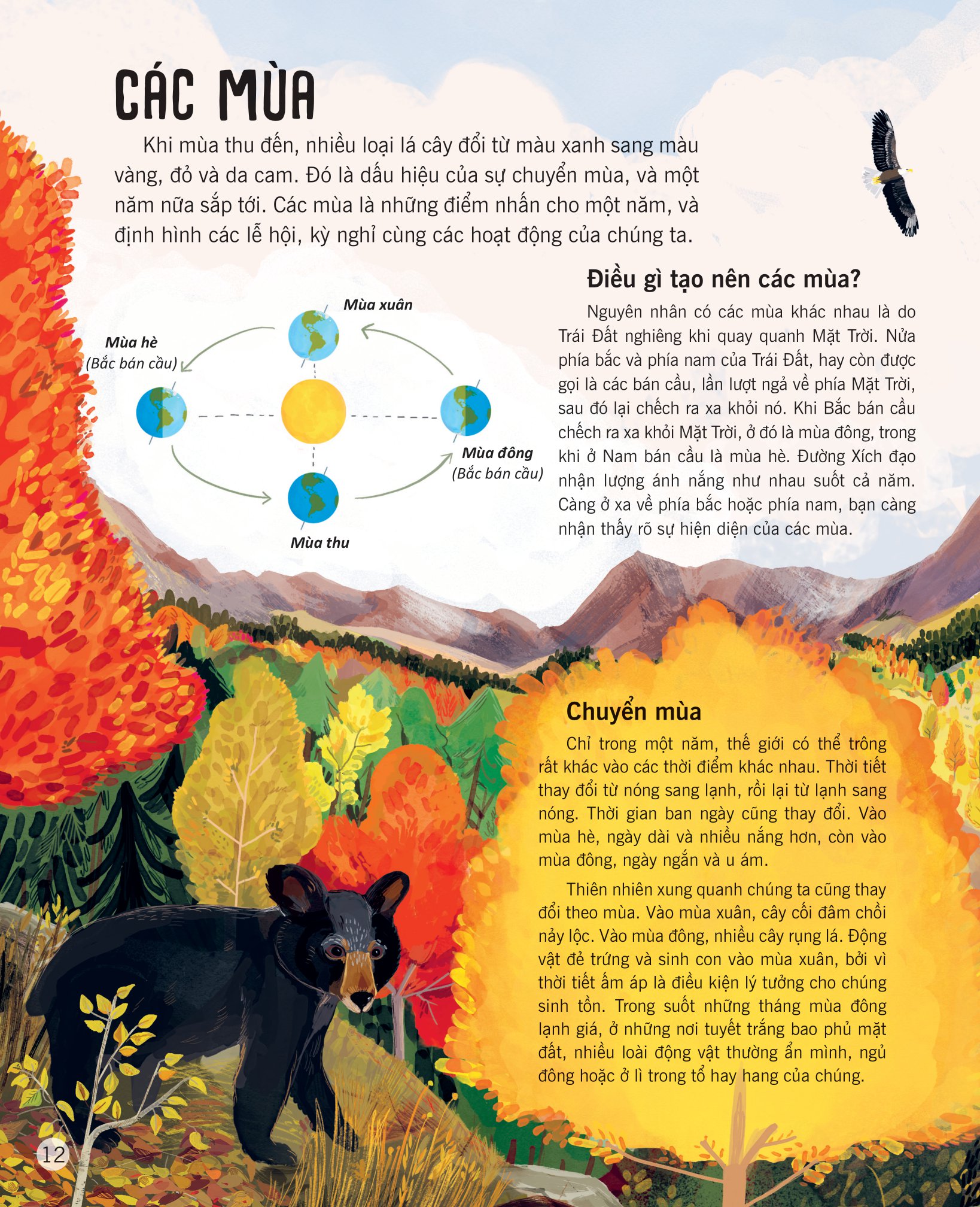 vạn vật biến đổi - Ảnh 10