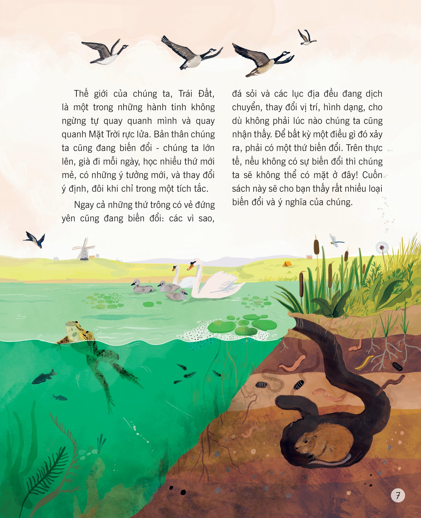 vạn vật biến đổi - Ảnh 5