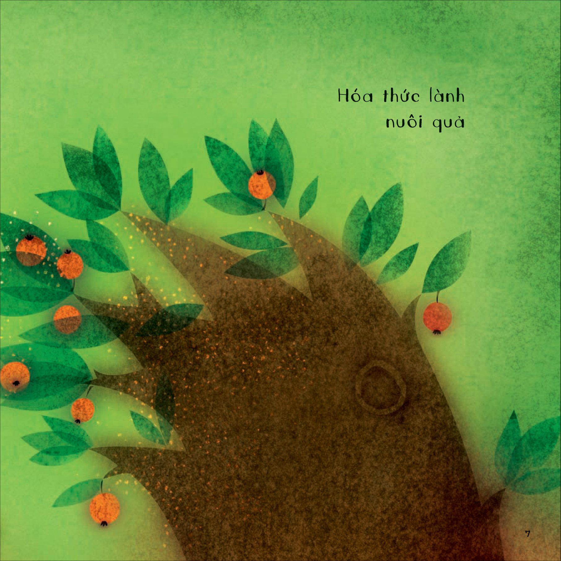 vạn vật thầm thì - chuyện của lá - Ảnh 6