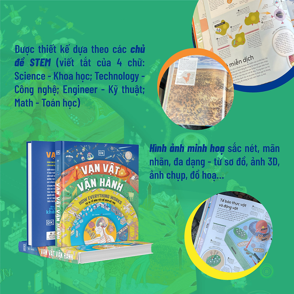 vạn vật vận hành - how everything works - bìa cứng - Ảnh 8