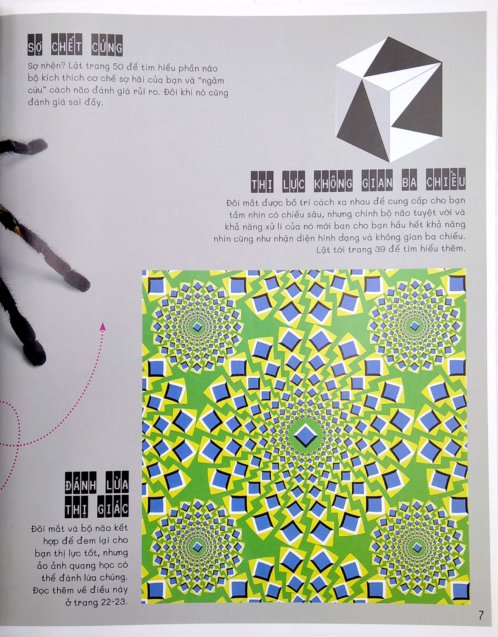 vặn vẹo trí não - nghĩ một đằng, thấy một nẻo - Ảnh 5