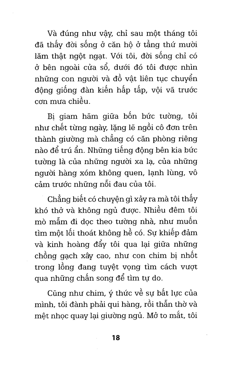 vàng trên biển đá đen - Ảnh 16