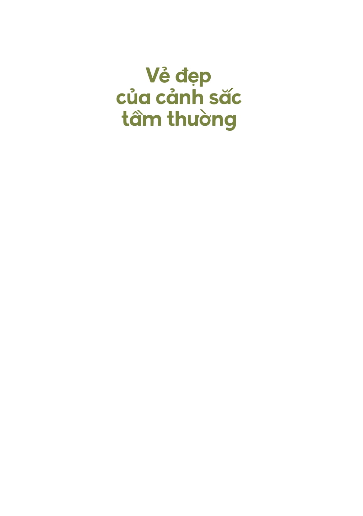vẻ đẹp của cảnh sắc tầm thường - hay vì sao chúng ta cần thay đổi cách thưởng thức thiên nhiên? - Ảnh 3