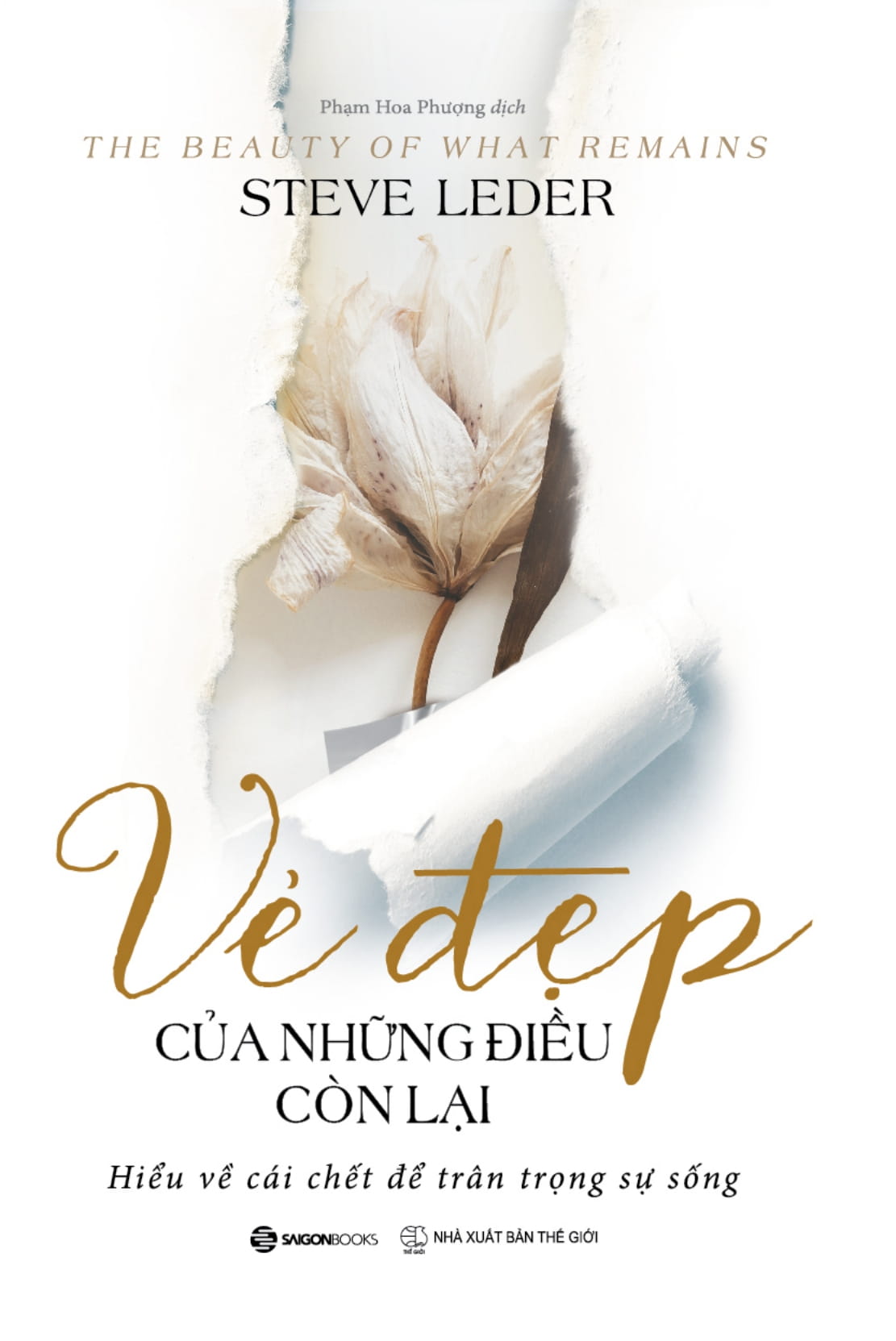 vẻ đẹp của những điều còn lại - Ảnh 2