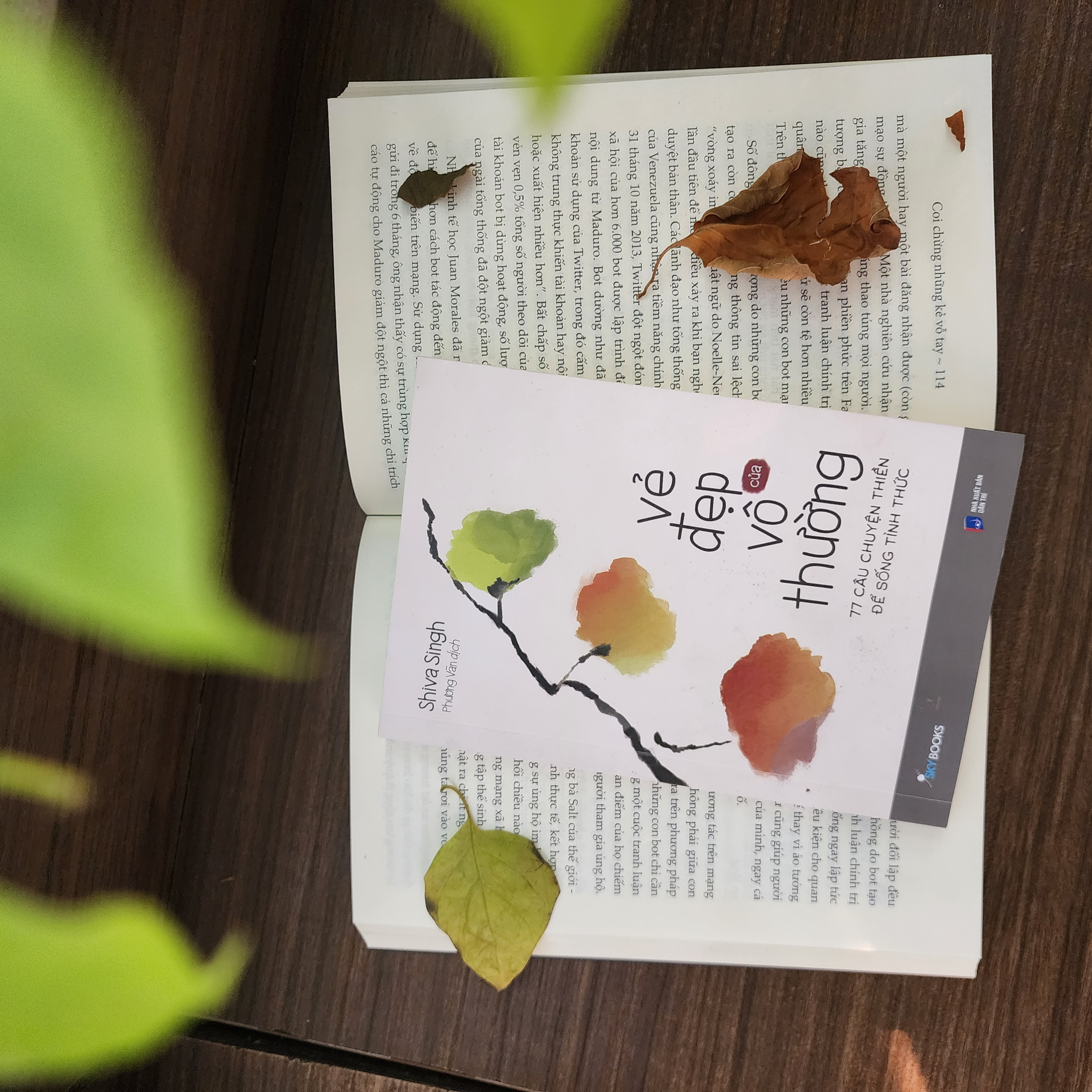 vẻ đẹp của vô thường - 77 câu chuyện thiền để sống tỉnh thức - Ảnh 4