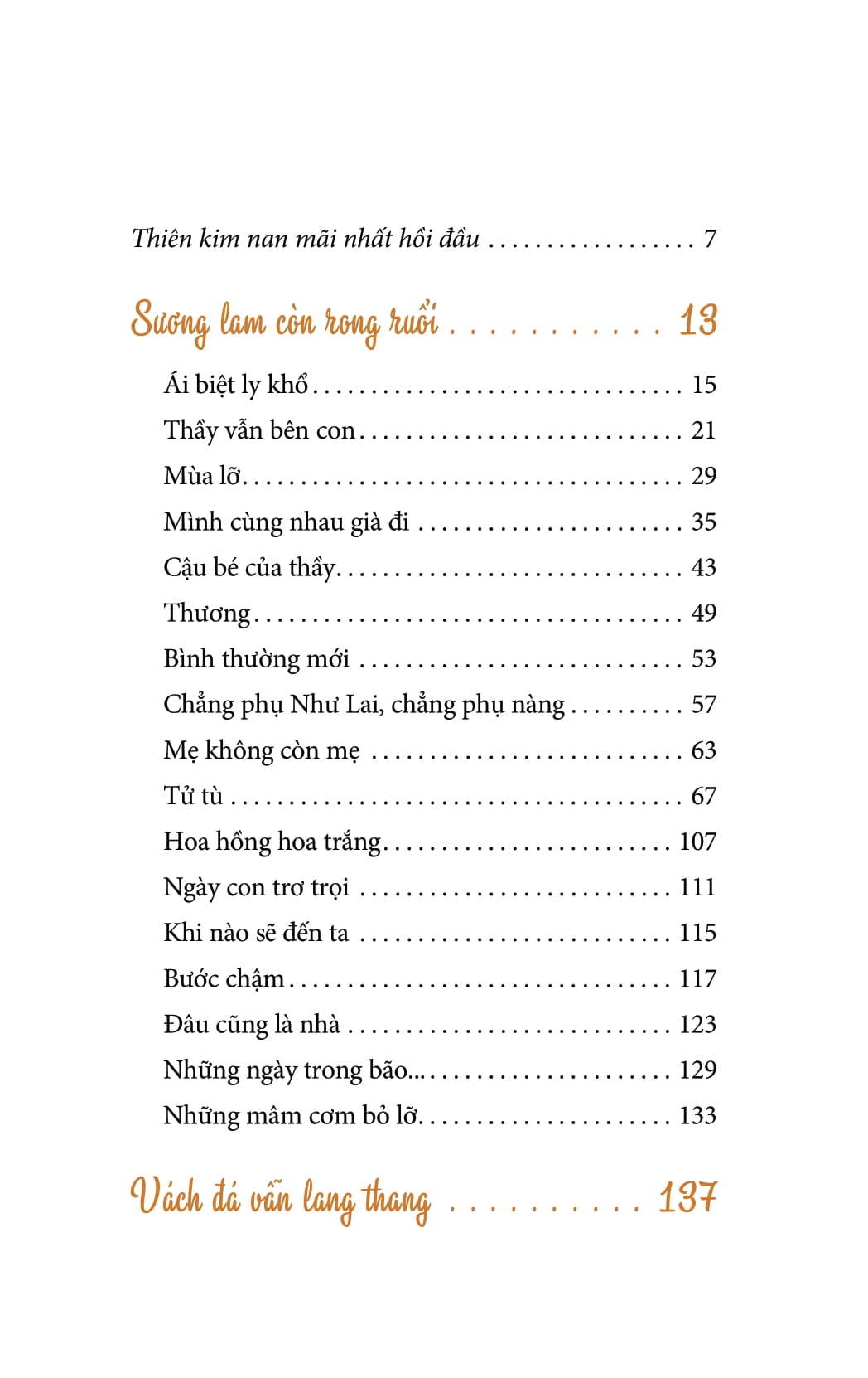 về đi con - nghe êm đềm đâu đó mộng đoàn viên - Ảnh 14