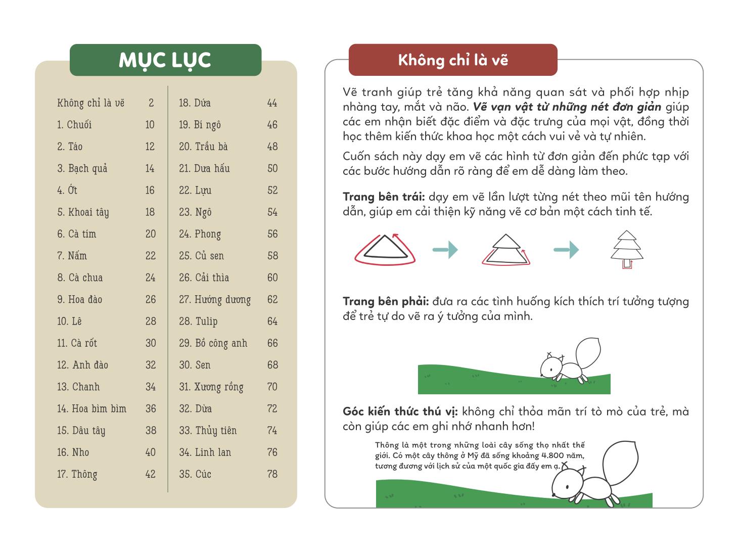 vẽ vạn vật từ những nét đơn giản - vẽ cỏ cây hoa lá - Ảnh 3