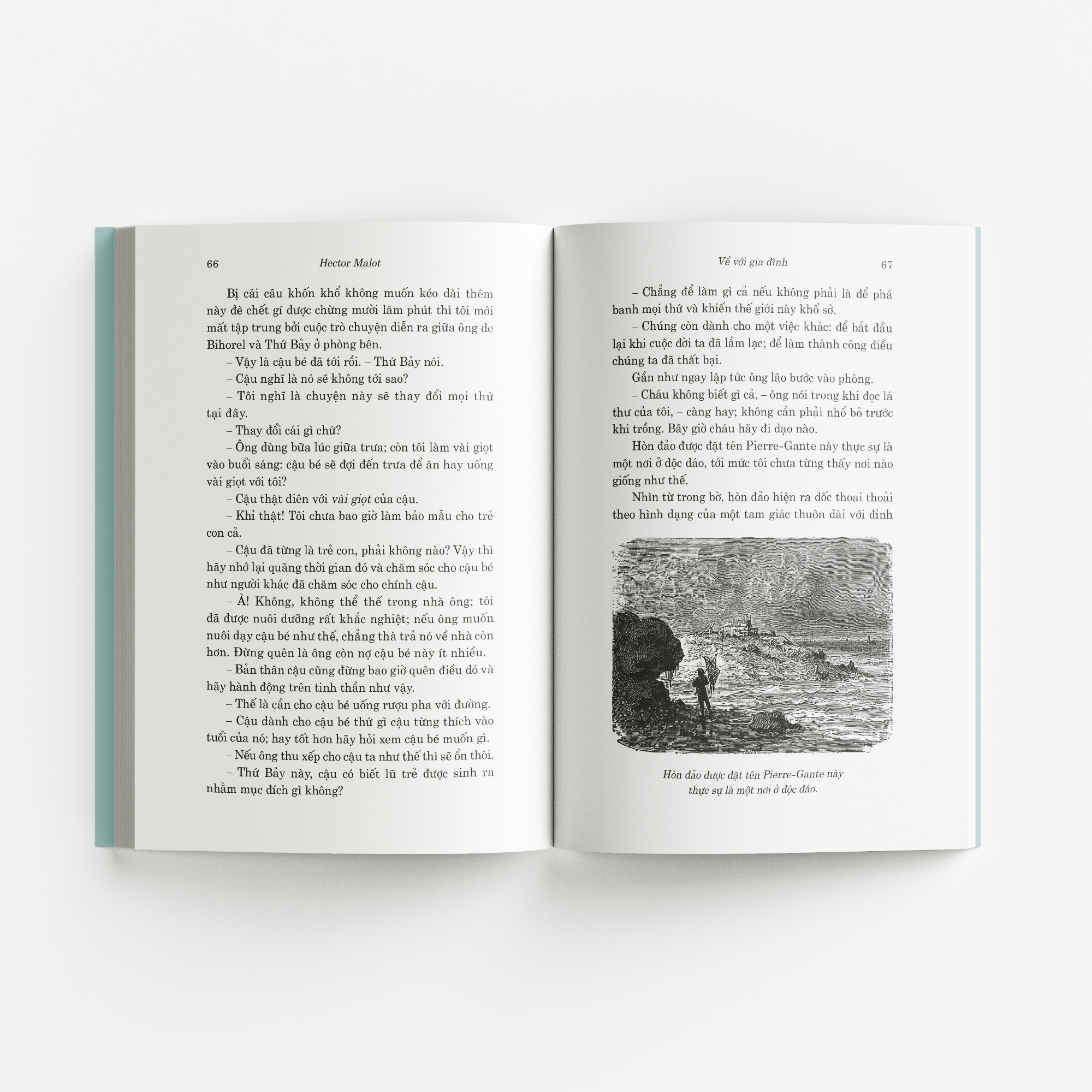 về với gia đình - Ảnh 10