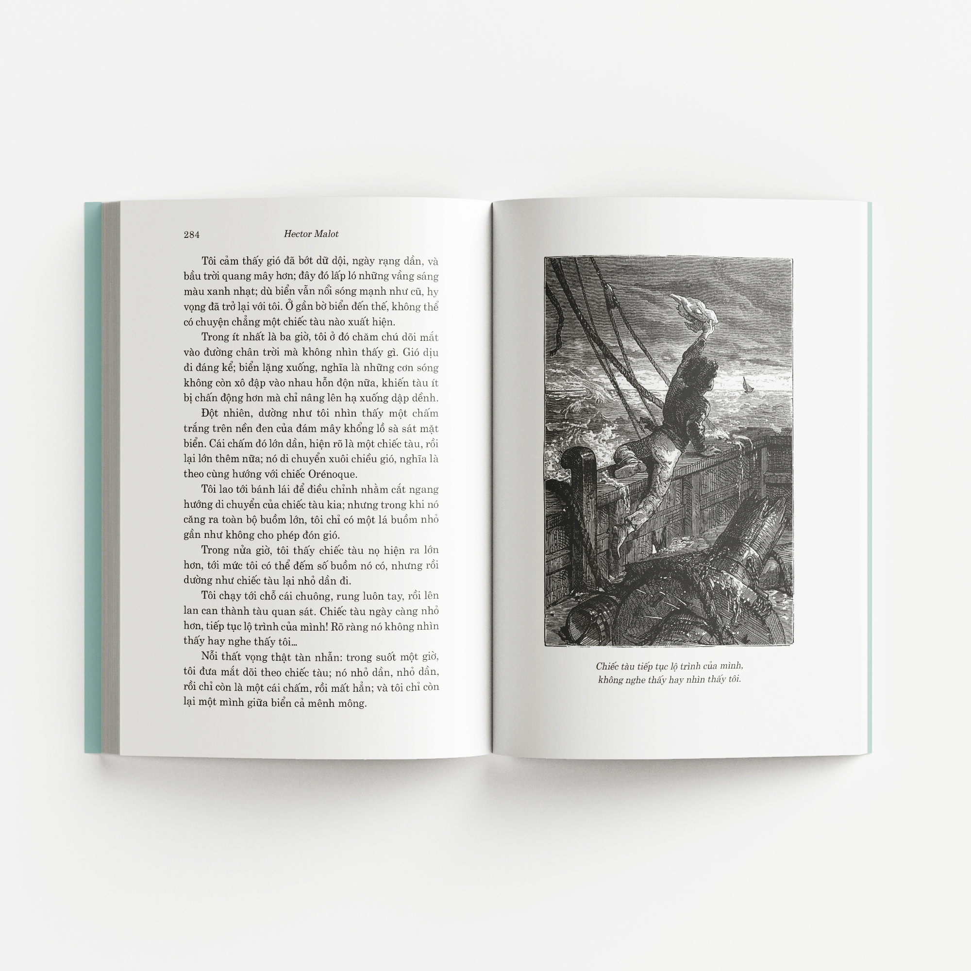 về với gia đình - Ảnh 7