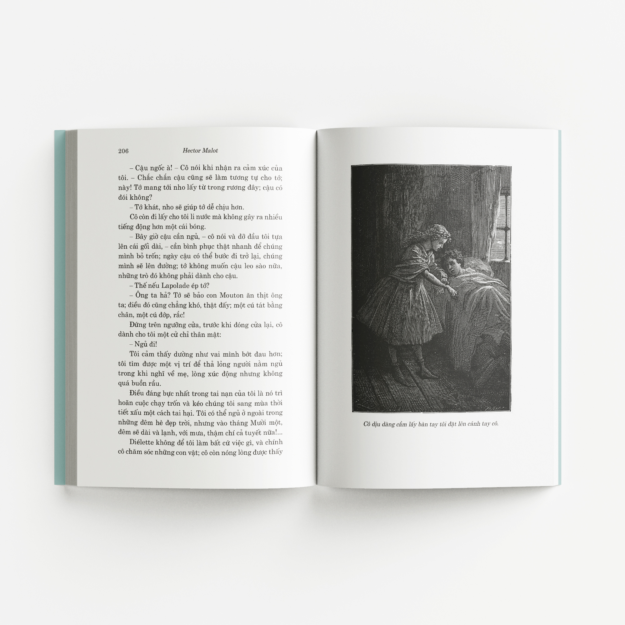 về với gia đình - Ảnh 8