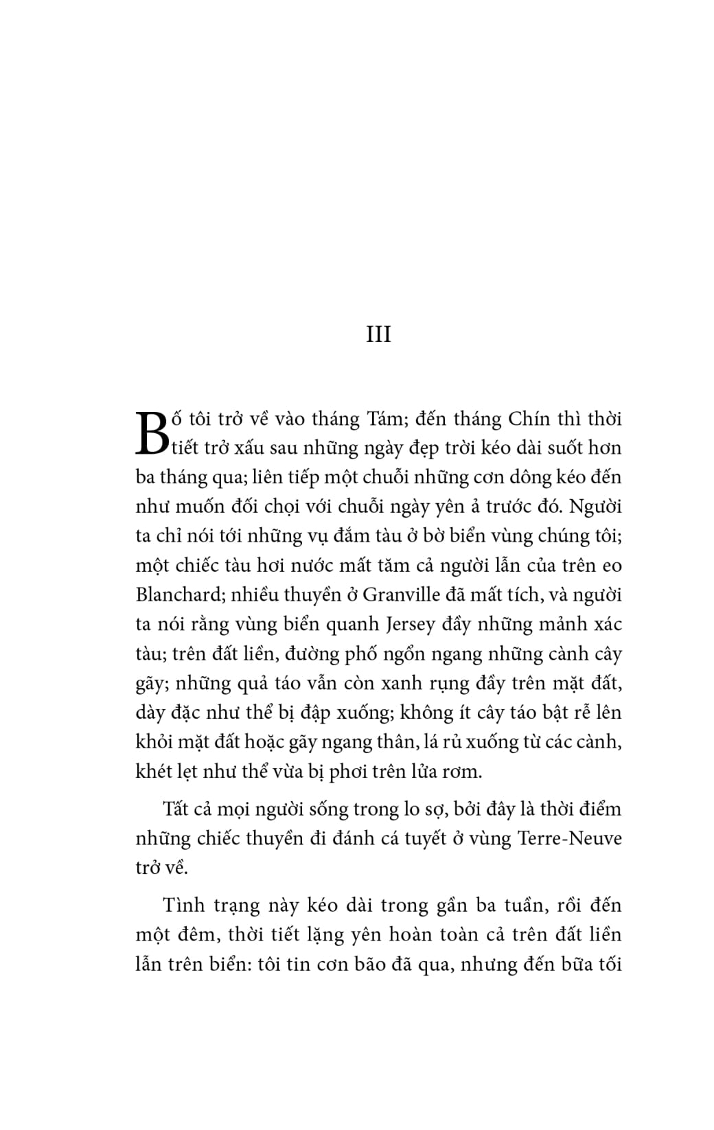 Về Với Gia Đình - Bìa Vải - Ảnh 21