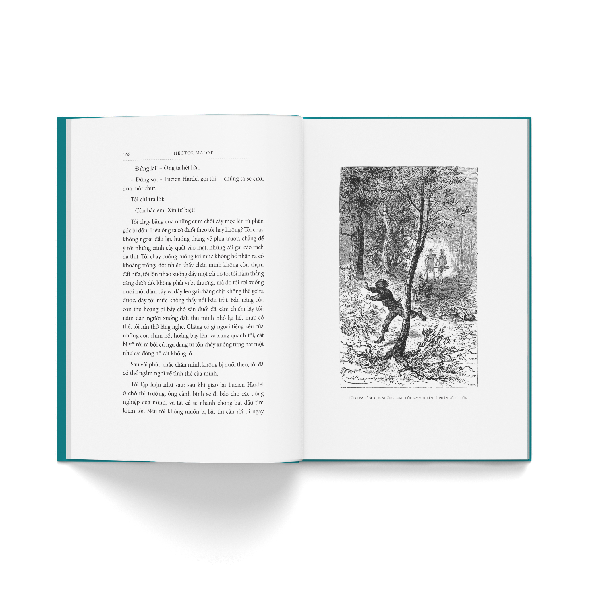 Về Với Gia Đình - Bìa Vải - Ảnh 5