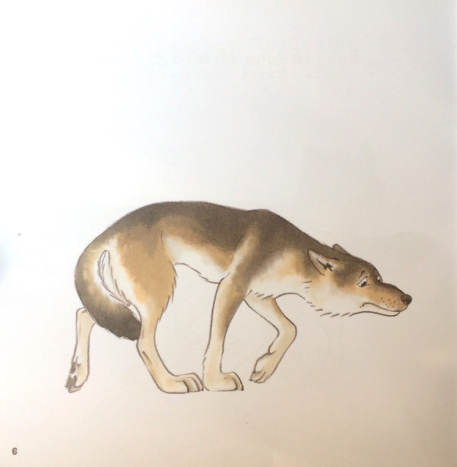 vẽ vui - vui vẽ - chó sói đói tham ăn - Ảnh 4