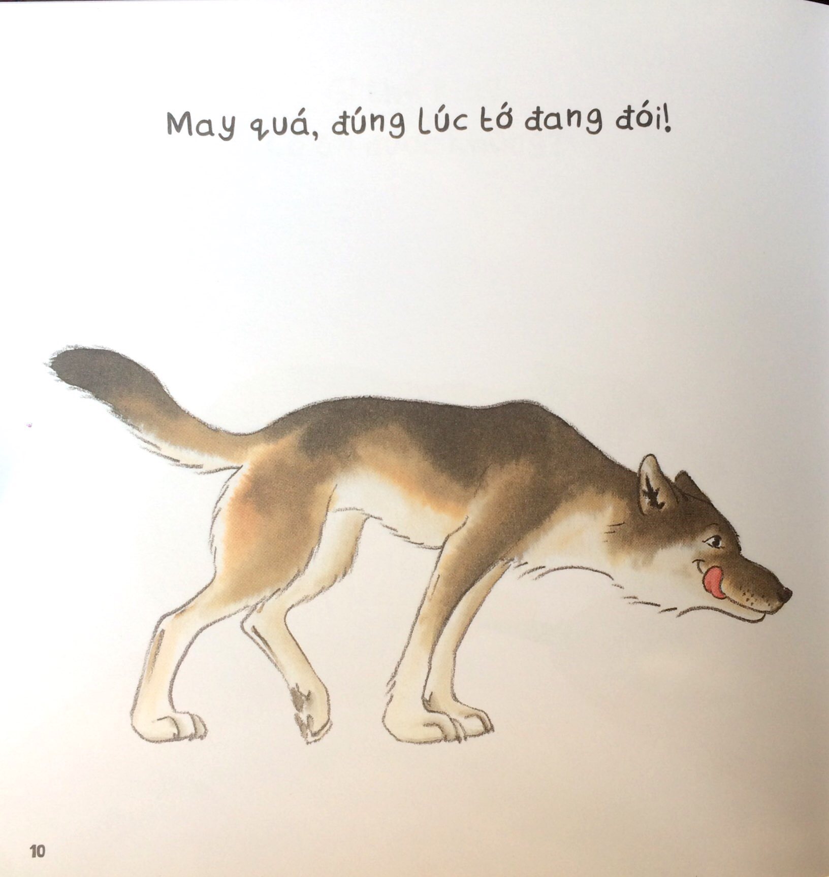 vẽ vui - vui vẽ - chó sói đói tham ăn - Ảnh 8