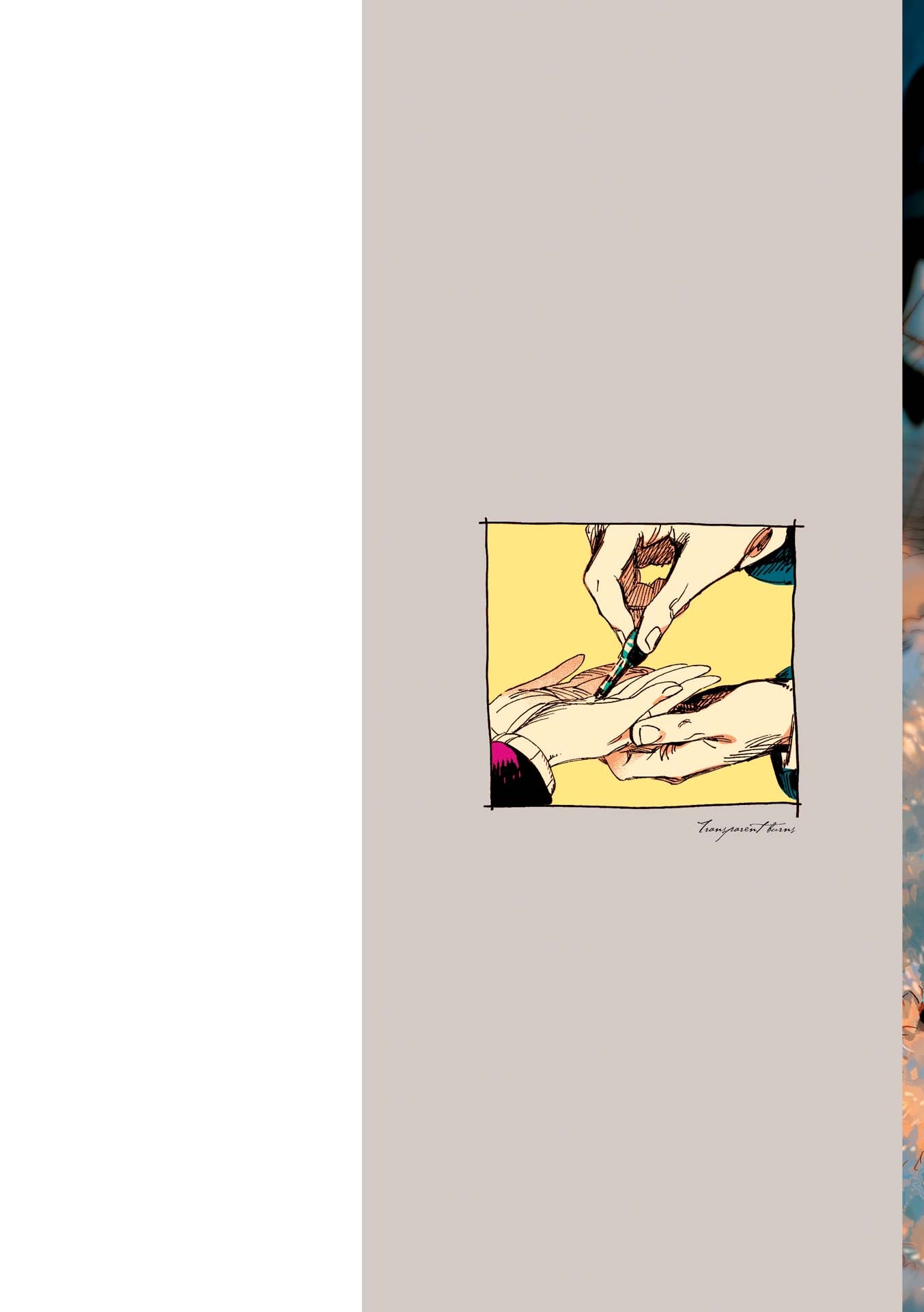 veil 4 - transparent burns - Ảnh 4