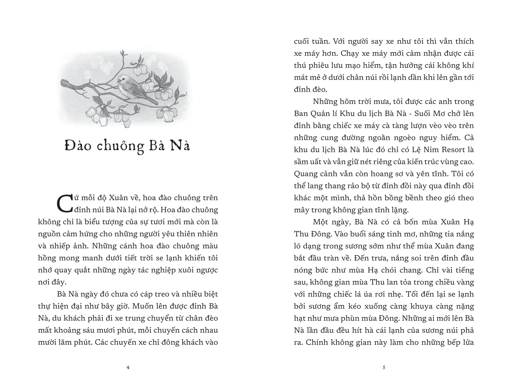 vết cũ ngày mưa - Ảnh 4