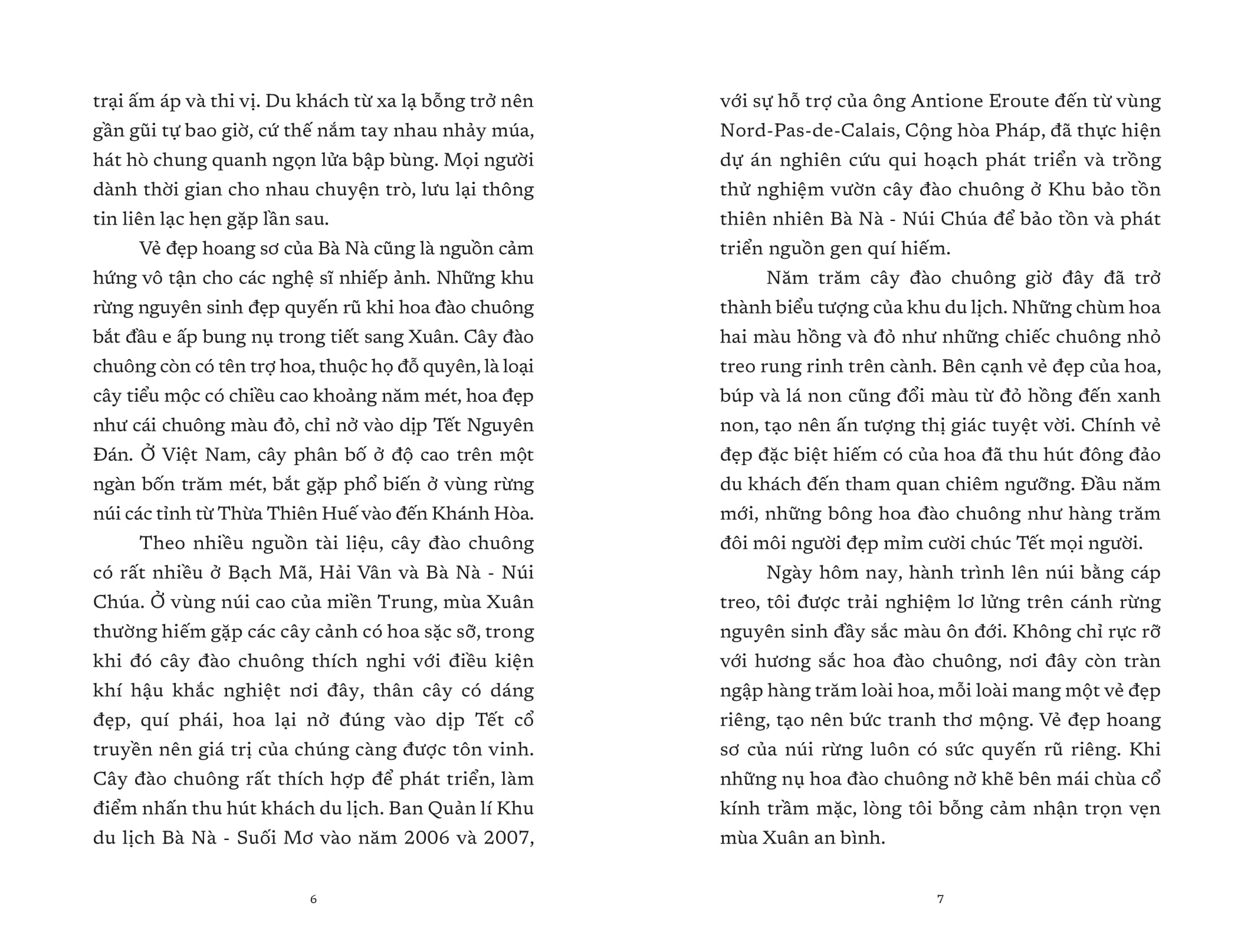 vết cũ ngày mưa - Ảnh 5