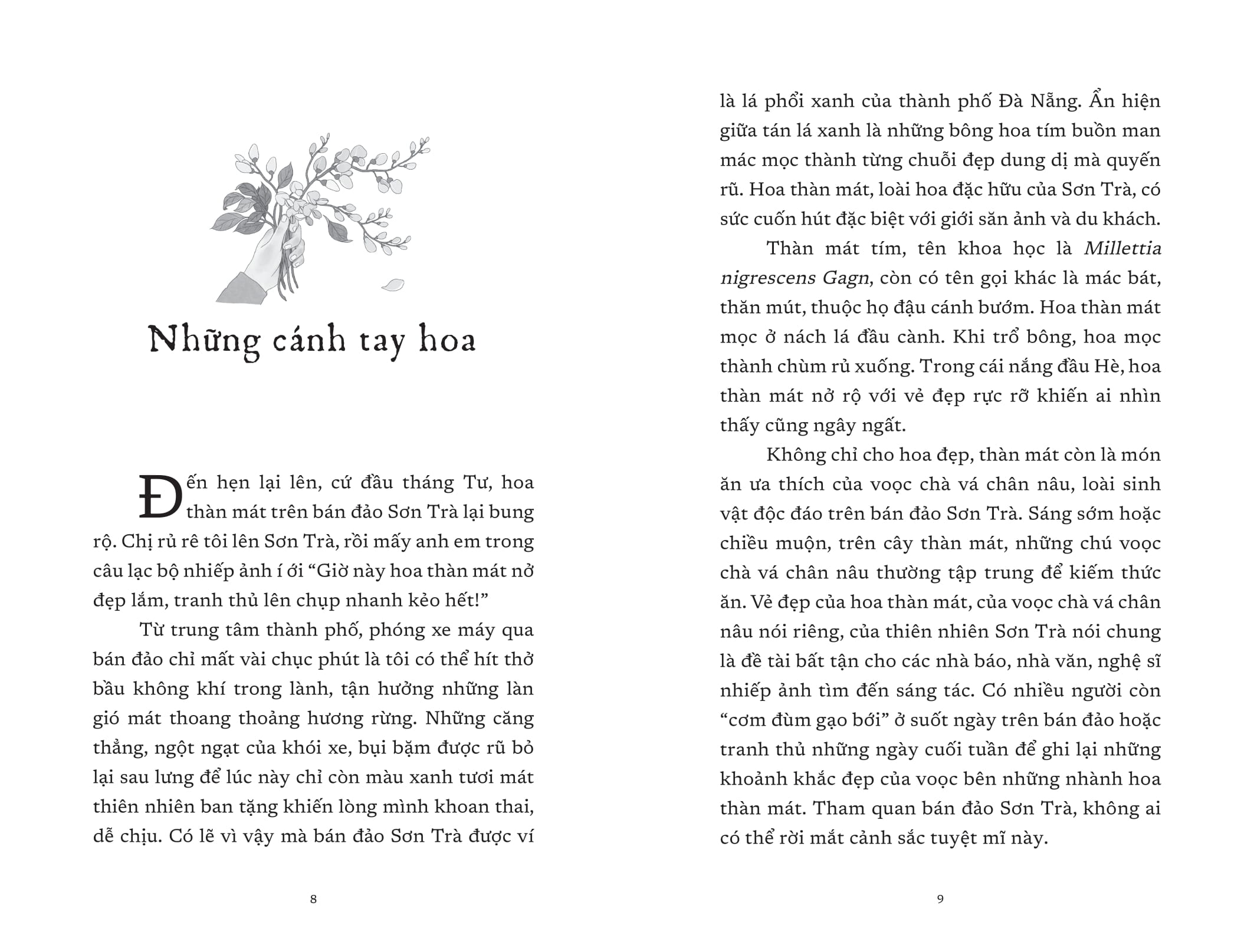 vết cũ ngày mưa - Ảnh 6