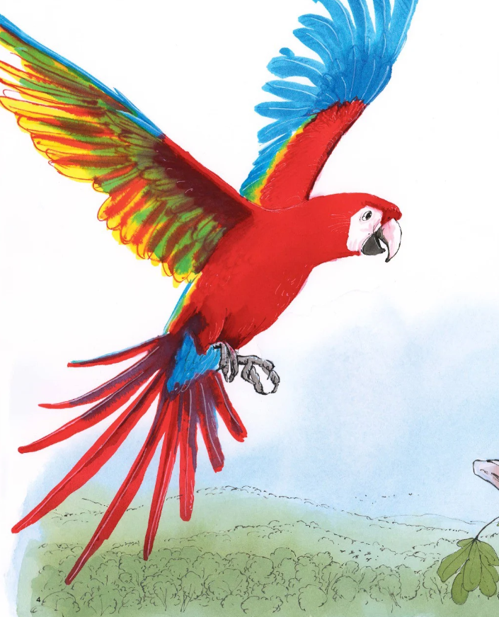 vẹt đuôi dài đã trông thấy gì? - Ảnh 3