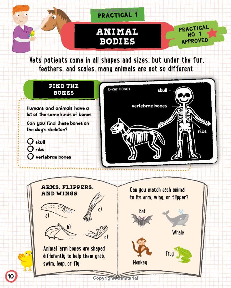 vet in training - Ảnh 12