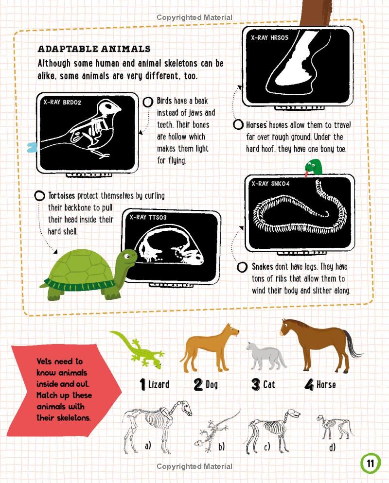 vet in training - Ảnh 13