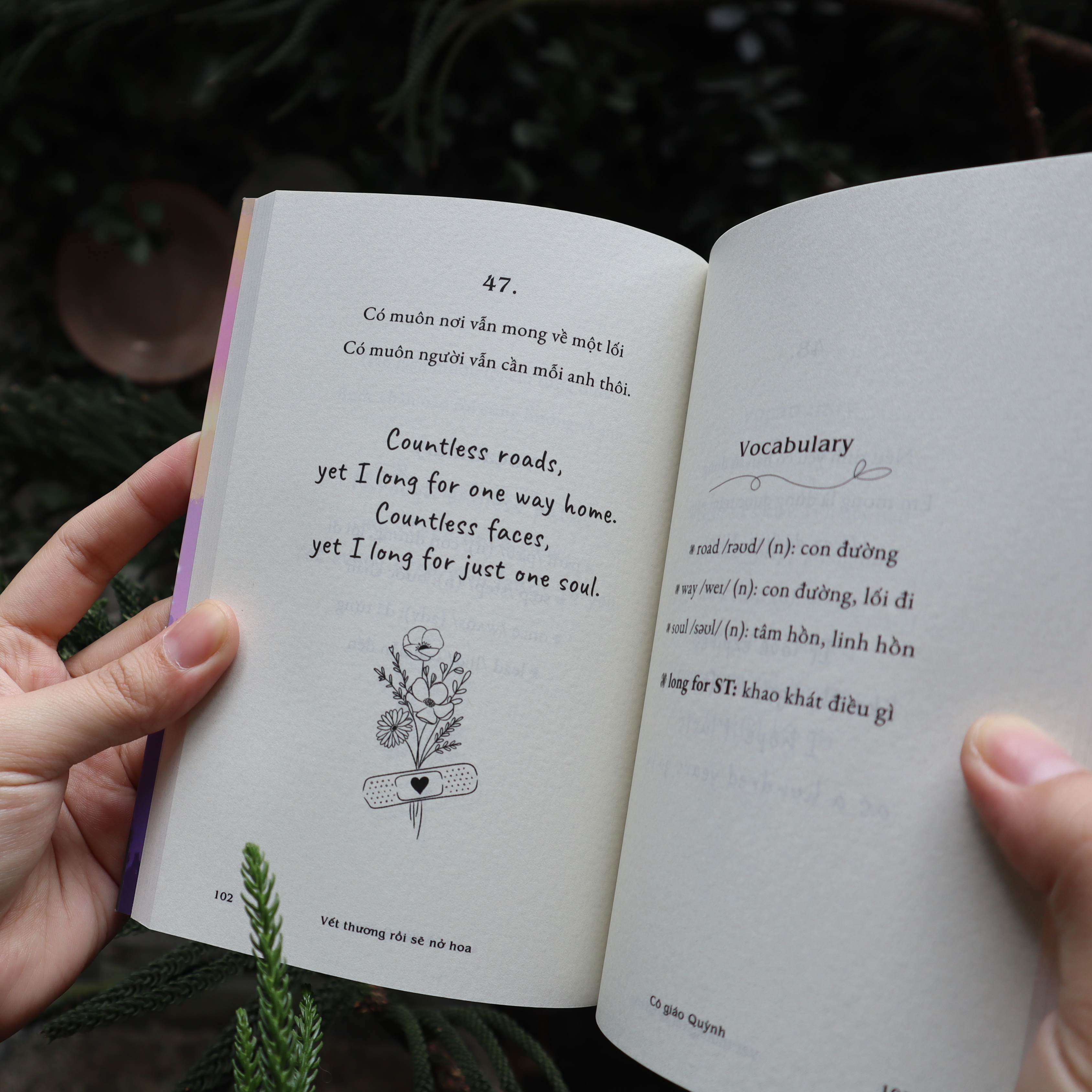 Vet Thuong Roi Se No Hoa - Ảnh 6