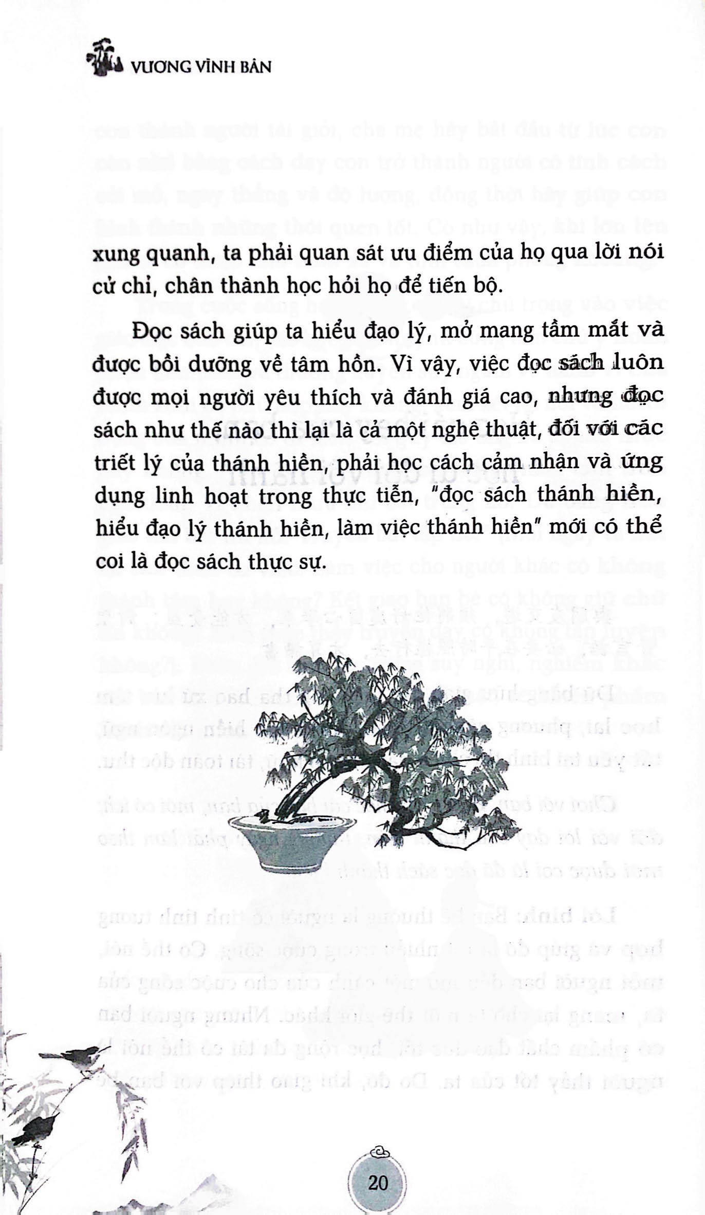 vi lô dạ thoại - Ảnh 7