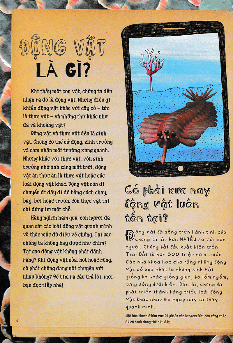 vì sao cá không bị ngộp nước? (và những câu hỏi then chốt khác về giới động vật) (tái bản 2019) - Ảnh 3