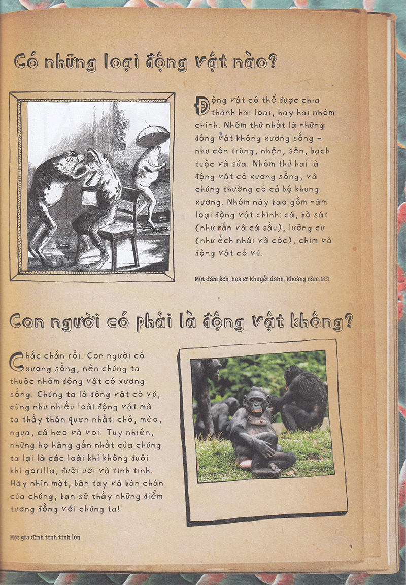 vì sao cá không bị ngộp nước? (và những câu hỏi then chốt khác về giới động vật) (tái bản 2019) - Ảnh 4