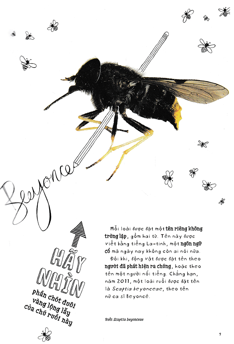 vì sao cá không bị ngộp nước? (và những câu hỏi then chốt khác về giới động vật) (tái bản 2019) - Ảnh 6