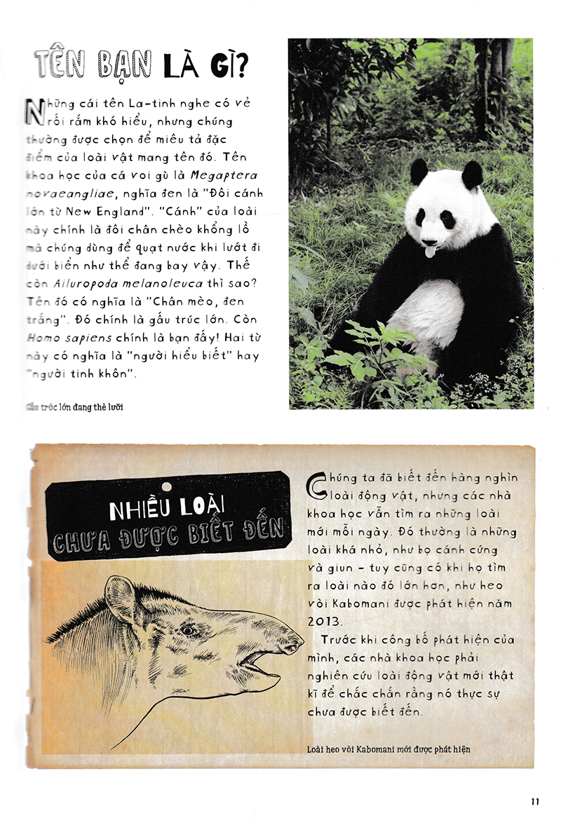 vì sao cá không bị ngộp nước? (và những câu hỏi then chốt khác về giới động vật) (tái bản 2019) - Ảnh 8