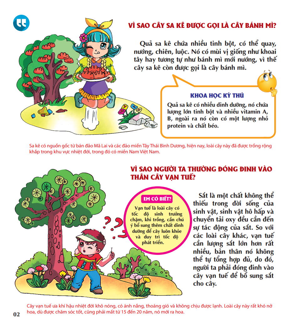 vì sao các loài hoa lại có mùi hương - Ảnh 6